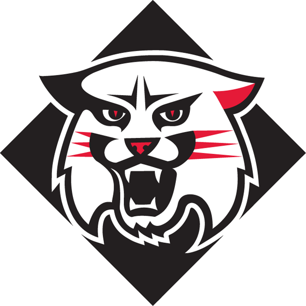 Davidson Wildcats 2010-Pres Alternate Logo diy fabric transfer